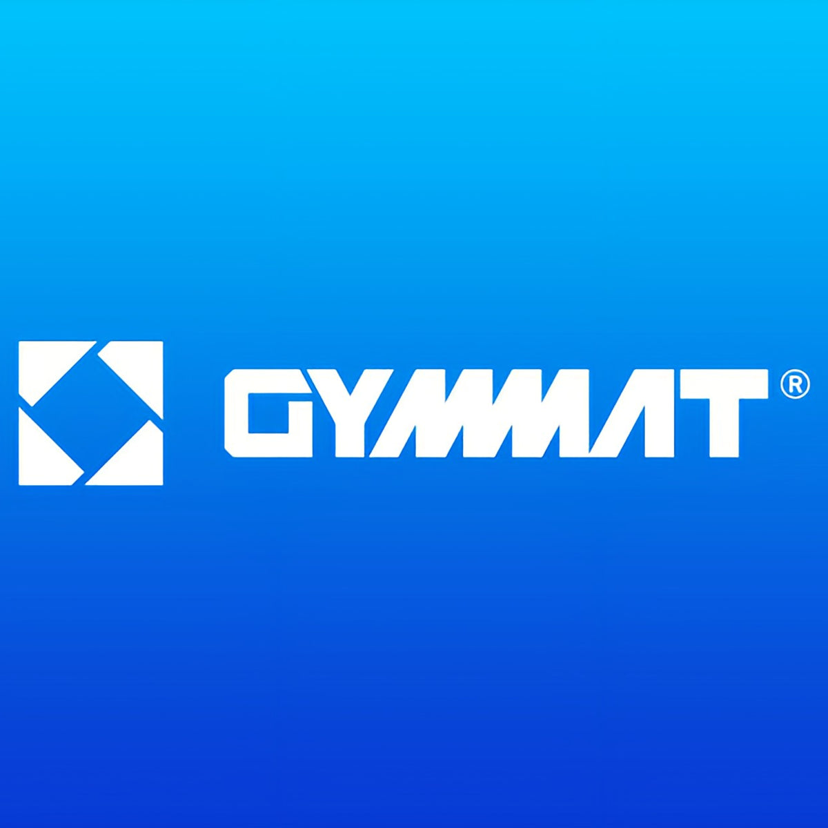 ジムマット | GYMMAT - ジム専用ゴムマット
