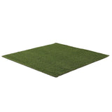 Artificial grass for gym 1m x 10m